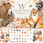 手绘水彩卡通动物狐狸刺猬兔子熊兔子卡片PNG免抠设计素材