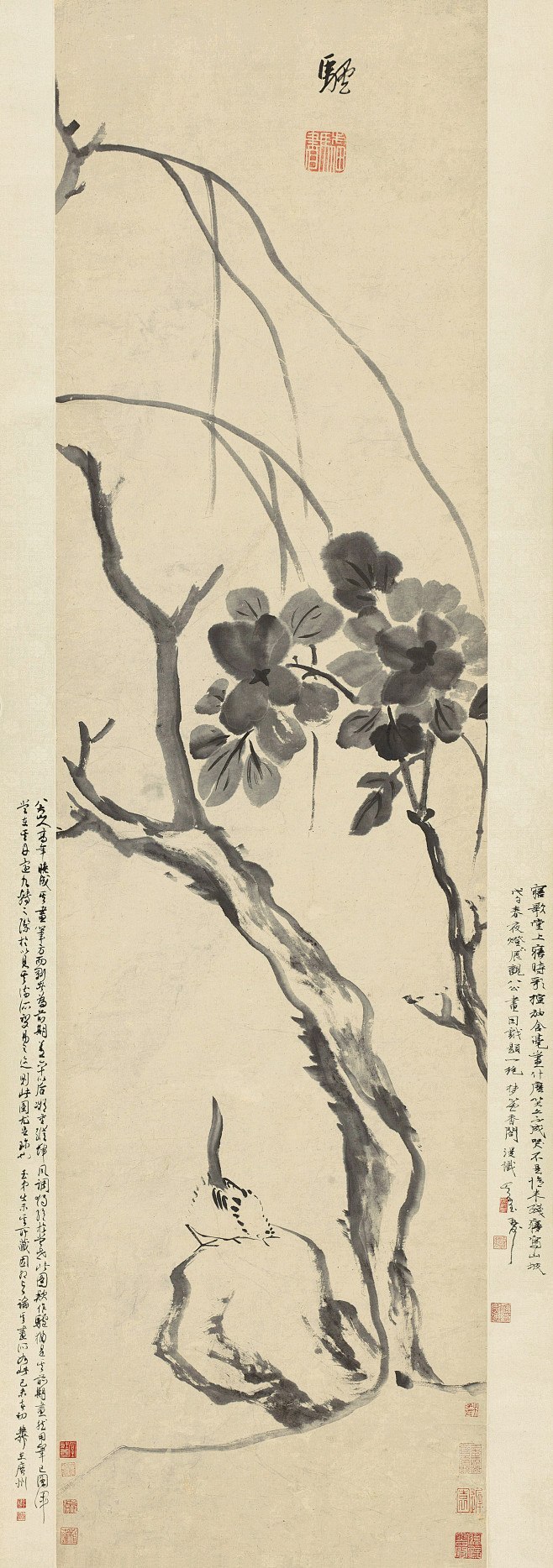 清八大山人鸟石牡丹谢稚柳题跋