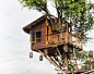 泰国北部的小树屋