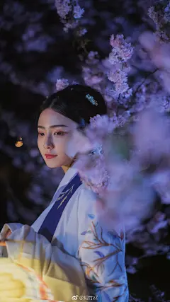 又到了拍樱花的季节，放送一波夜樱壁纸。
白天景区人太多了，晚上拍摄真是好清净 ​​​​