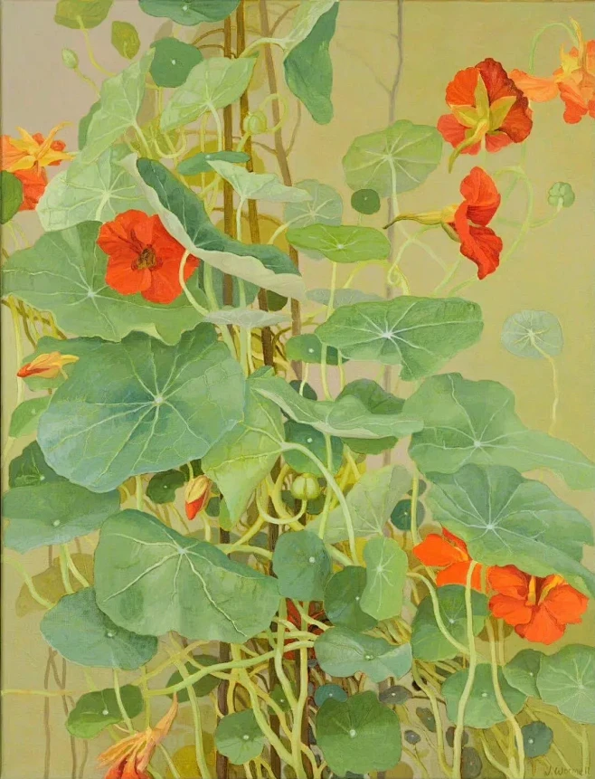 来自相册