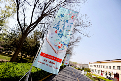 鑫民采集到活动