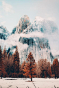 Yosemite: 