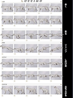 X仙生-阿伟采集到动物视频