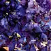 Blue Purple Red: Amethyst Crystals | Krystal Power!