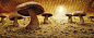 Mushroom Savanna