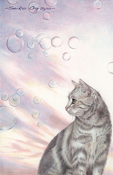 猫咪绘本_创意如此简单_新浪轻博客_Qi...