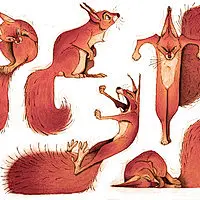 Hors de l'eau, Thibault LECLERCQ : New Character design and model sheet I did for my graduation film « Hors de l’eau ». You can watch the short film here : https://www.youtube.com/watch?v=E4BhEBaeQdg