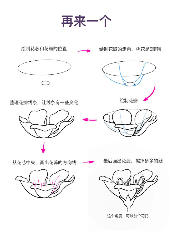 花卉插画-线稿 (4)