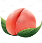 美食元素主题插画