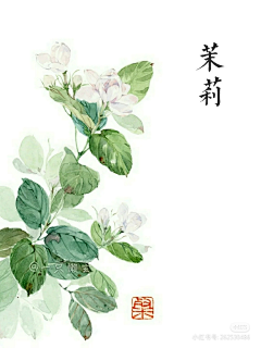 虫子吃草长不大采集到素材