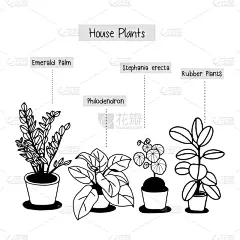 室内植物,锅,动物手,可爱的,贺卡,花盆,泰国,春天,装饰物,铅笔画