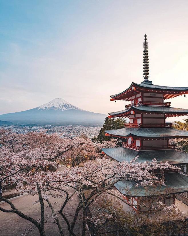 东京，樱花，富士山，壁纸