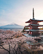 东京，樱花，富士山，壁纸