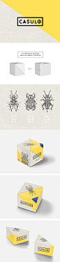 C A S U L O on Behance: 