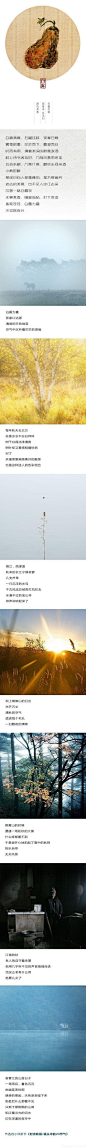 【白露】蒹葭苍苍，白露为霜。无事熏香，晴窗临帖，枕上诗书闲处好，门前风景雨来佳，不觉秋夜长。via 小林-数码生存《时光映画 · 镜头中的24节气》