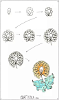 缠绕画花纹的素材，收藏学习