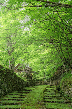 -桃妩-采集到场景