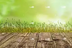 背景 自由背景 全高清壁纸 绿色 园艺 春天 木头 草 农场