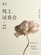 蓄光 • 小红书 / RED