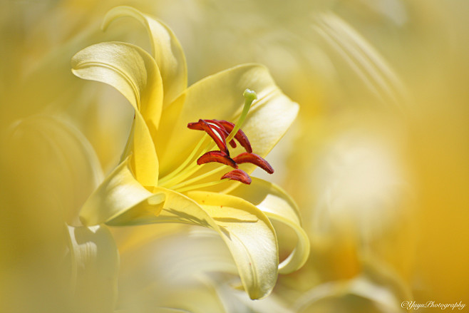 Cheerful person by Y...
