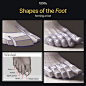 Shapes of the Foot