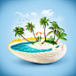 tropical-island-seashell