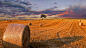 田里的干草捆，丹麦日德兰 (© Nick Brundle Photography/Getty Images) | 必应每日高清壁纸 - 精彩,从这里开始