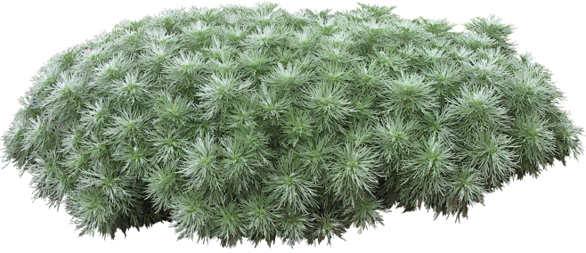 FA3朝雾草7副本
