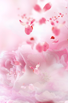 com半亩花田沐浴露慕斯乳液持久留香体男女士学生家庭组合