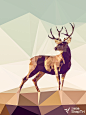 鹿1
SnapTri-三棱萌宠
三棱印象（SnapTri）出品
详情关注微博：http://weibo.com/snaptri(  每日更新)
关注公众账号：SnapTri(每日更新,并可回复获得无水印图片)
#三角# #动物# #鹿# #海报#
