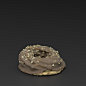 3D Scan of a Bread Roll, Rouven Miller : High detail 3d scan of a bread roll 
