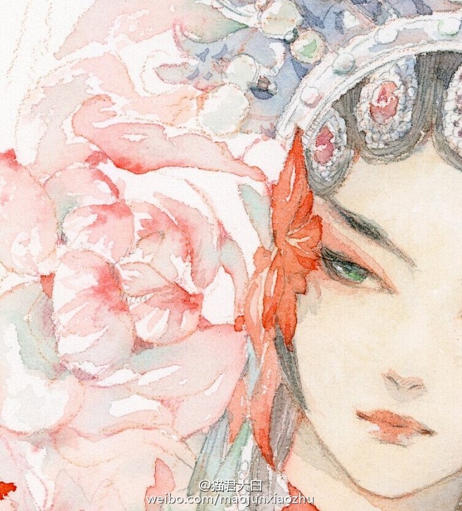 猫君大白的照片 - 微相册