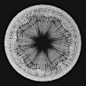 Cymatics, Serjan Burlak : R+D, tried to mimic cymatics in Houdini