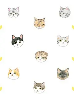 『 iphone5壁纸- 桌面壁纸- 插画-文字- 动漫- 平铺 - 萌物- 人物 』 ✿Yes_girL