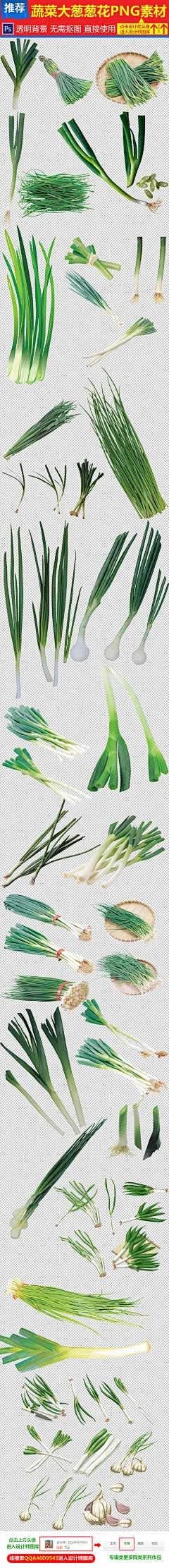 蔬菜美食佐料葱姜蒜大葱免扣素材