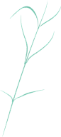 蓝绿色季节手绘节气完整插画