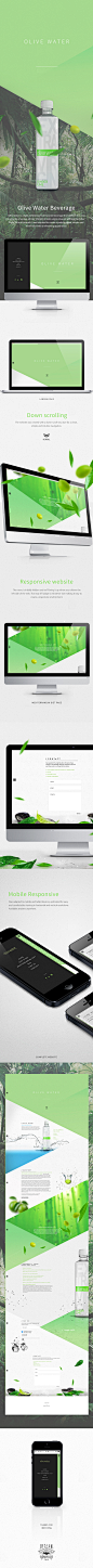 Olive Water website on Web Design Served