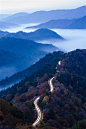 Autumn Morning by Takeshi Wakabayashi