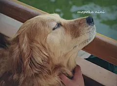 西安曲江南湖