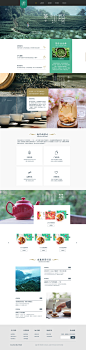 茶叶养生绿色网页设计-素材库-sucai1.cn