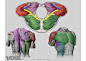 迈克尔汉普顿人体结构-胸背肌肉