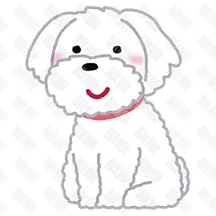 马尔济斯犬狗狗写实插画的小狗狗手绘卡通插画手绘png儿童插画免扣素材1