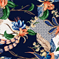 Débora Elisa Noerenberg on Behance