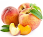 微海报新鲜水果苹果水蜜桃特产蜜柚桔橙猕猴桃冬枣