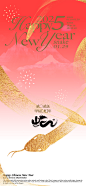 蛇年春节新年海报