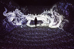 张小花zzzz采集到teamlab