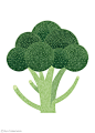 Ryo Takemasa | Vegetables