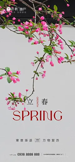 意境中国风春天花开唯美24节气地产立春海报 (2)