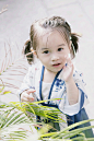 小麻豆